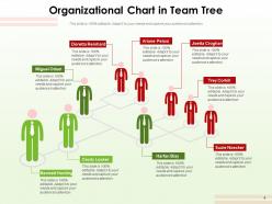 Team Tree Characteristics Organization Individual Growth Business
