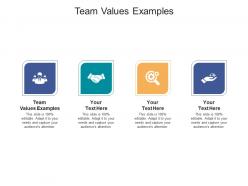 Team values examples ppt powerpoint presentation pictures graphics template cpb