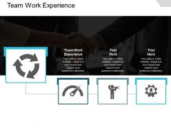 team_work_experience_ppt_powerpoint_presentation_icon_skills_cpb_Slide01