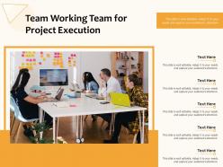 Team working team for project execution