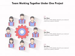 Team working together under one project