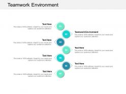 Teamwork environment ppt powerpoint presentation model maker cpb
