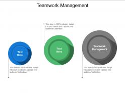 Teamwork management ppt powerpoint presentation infographic template infographic template cpb