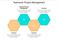 Teamwork project management ppt powerpoint presentation portfolio elements cpb