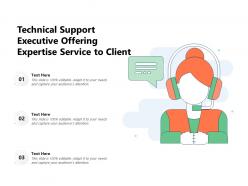 Technical support executive offering expertise service to client