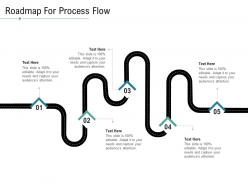 Technology service provider solutions roadmap for process flow ppt elements