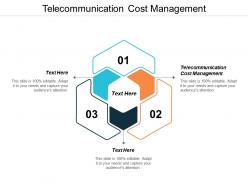 Telecommunication cost management ppt powerpoint presentation styles files cpb