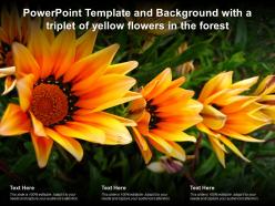 Template and background with a triplet of yellow flowers in the forest ppt powerpoint