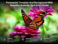 Template and background with beautiful butterfly on a pink flower ppt powerpoint