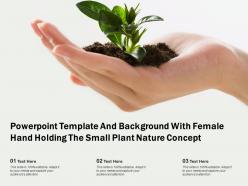 Template and background with female hand holding the small plant nature concept