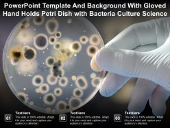 Template And Background With Gloved Hand Holds Petri Dish With Bacteria Culture Science