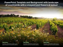 Template and background with landscape of countryside with a vineyard and flowers at sunset