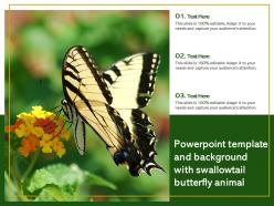 Template and background with swallowtail butterfly animal ppt powerpoint