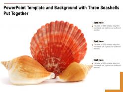 Template and background with three seashells put together ppt powerpoint