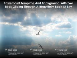 Template and background with two birds gliding through a beautifully back lit sky