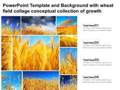 Template and background with wheat field collage conceptual collection of growth