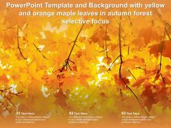Template background with yellow and orange maple leaves in autumn forest selective focus