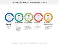 Template for strategy management process