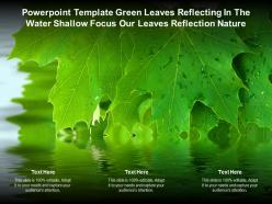 Template green leaves reflecting in the water shallow focus our leaves reflection nature