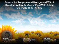 Template with a beautiful yellow sunflower field with bright blue clouds in the sky