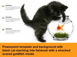 Template with black cat reaching into fishbowl with a shocked scared goldfish inside