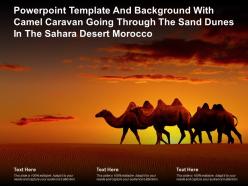 Template with camel caravan going through the sand dunes in the sahara desert morocco