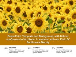 Template With Field Of Sunflowers In Full Bloom In Summer With Our Field Of Sunflowers Beauty
