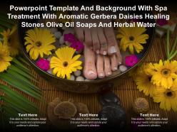Template with spa treatment with aromatic gerbera daisies healing stones olive oil soaps and herbal water