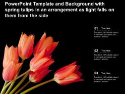 Template with spring tulips in an arrangement as light falls on them from the side ppt powerpoint