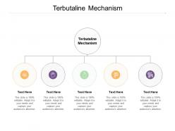 Terbutaline mechanism ppt powerpoint presentation layouts rules cpb