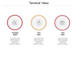 Terminal value ppt powerpoint presentation icon templates cpb