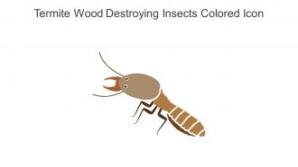 Termite Wood Destroying Insects Colored Icon In Powerpoint Pptx Png And Editable Eps Format