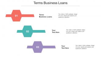 Terms Business Loans Ppt Powerpoint Presentation File Slide Cpb