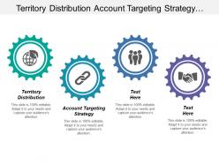 Territory distribution account targeting strategy strategic roadmap product