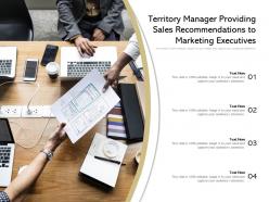 Territory manager providing sales recommendations to marketing executives
