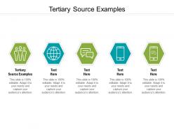 Tertiary source examples ppt powerpoint presentation portfolio icon cpb