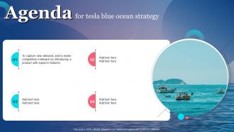 Tesla Blue Ocean Strategy Agenda Infographics Pdf Strategy SS