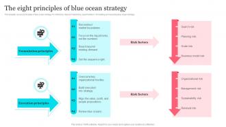 Tesla Blue Ocean Strategy The Eight Principles Of Blue Ocean Strategy Strategy SS