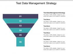 Test data management strategy ppt powerpoint presentation portfolio example cpb