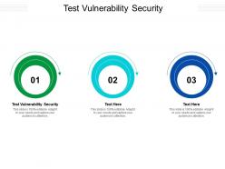 Test vulnerability security ppt powerpoint presentation outline ideas cpb