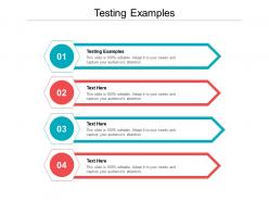 Testing examples ppt powerpoint presentation layouts layout ideas cpb