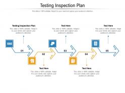 Testing inspection plan ppt powerpoint presentation model format ideas cpb