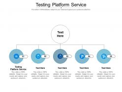 Testing platform service ppt powerpoint presentation gallery summary cpb