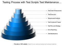 Testing process with test scripts test maintenance test execution