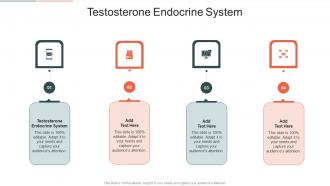 Testosterone Endocrine System In Powerpoint And Google Slides Cpb