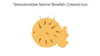 Tetraodontidae Marine Blowfish Colored Icon In Powerpoint Pptx Png And Editable Eps Format