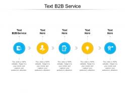 Text b2b service ppt powerpoint presentation graphics cpb