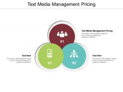 Text media management pricing ppt powerpoint presentation portfolio themes cpb