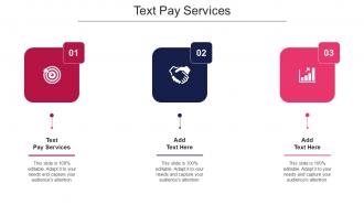 Text Pay Services Ppt Powerpoint Presentation Slides Show Cpb