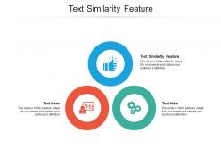 Text similarity feature ppt powerpoint presentation styles format ideas cpb